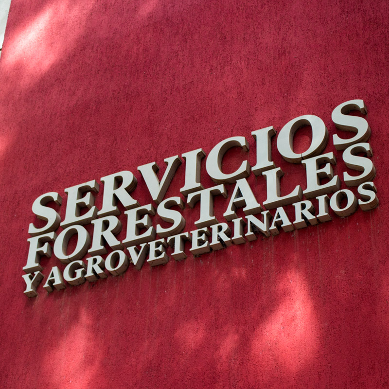SFyA