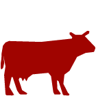 Veterinaria